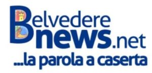 Belvedere News